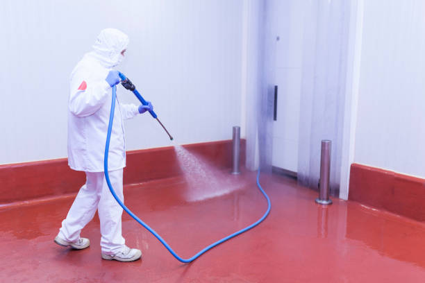 Best Winterizing Services  in Soh Weber, UT